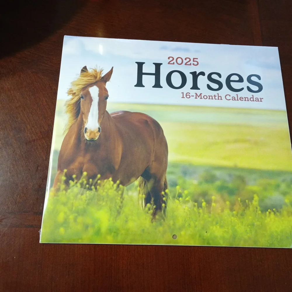 2025 Horses 16-Month Calendar